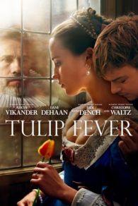 VER Amor y tulipanes (2017) Online Gratis HD