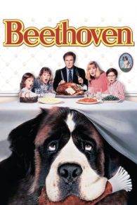 VER Beethoven, uno más de la familia (1992) Online Gratis HD