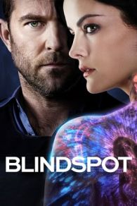 VER Blindspot (2015) Online Gratis HD