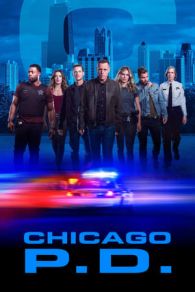 VER Policías de Chicago Online Gratis HD