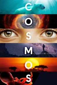 VER Cosmos: Una odisea en el espacio-tiempo (2014) Online Gratis HD