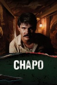 VER El Chapo Online Gratis HD