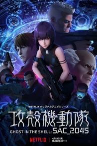 VER Ghost in the Shell: SAC_2045 (2020) Online Gratis HD
