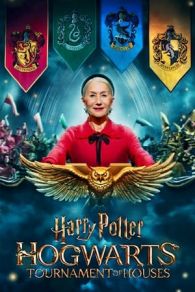 VER Harry Potter: El Torneo de las Casas de Hogwarts Online Gratis HD