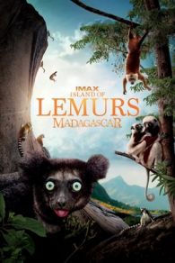 VER Isla de Lemures: Madagascar (2014) Online Gratis HD