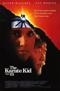 VER Karate Kid III: El desafío final Online Gratis HD