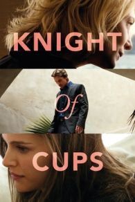 VER Knight of Cups (2015) Online Gratis HD