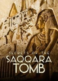 VER Los secretos de la tumba de Saqqara (2020) Online Gratis HD