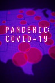 VER Pandemia COVID-19 (2020) Online Gratis HD