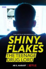VER Shiny Flakes: El cibernarco adolescente () Online Gratis HD