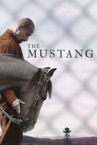 VER The Mustang (2019) Online Gratis HD